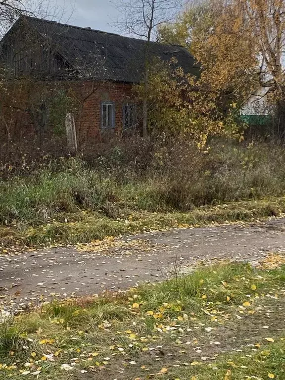 Дом в Тульская область, Тепло-Огаревский район, Нарышкинское с/пос, с. ... - Фото 1