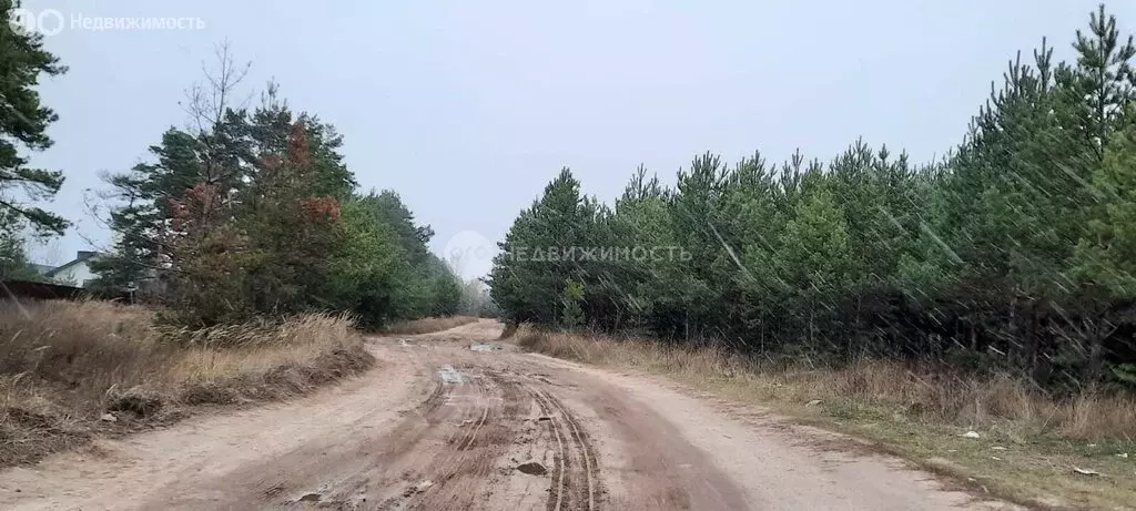 Участок в Мурминское сельское поселение, садоводческое товарищество ... - Фото 1