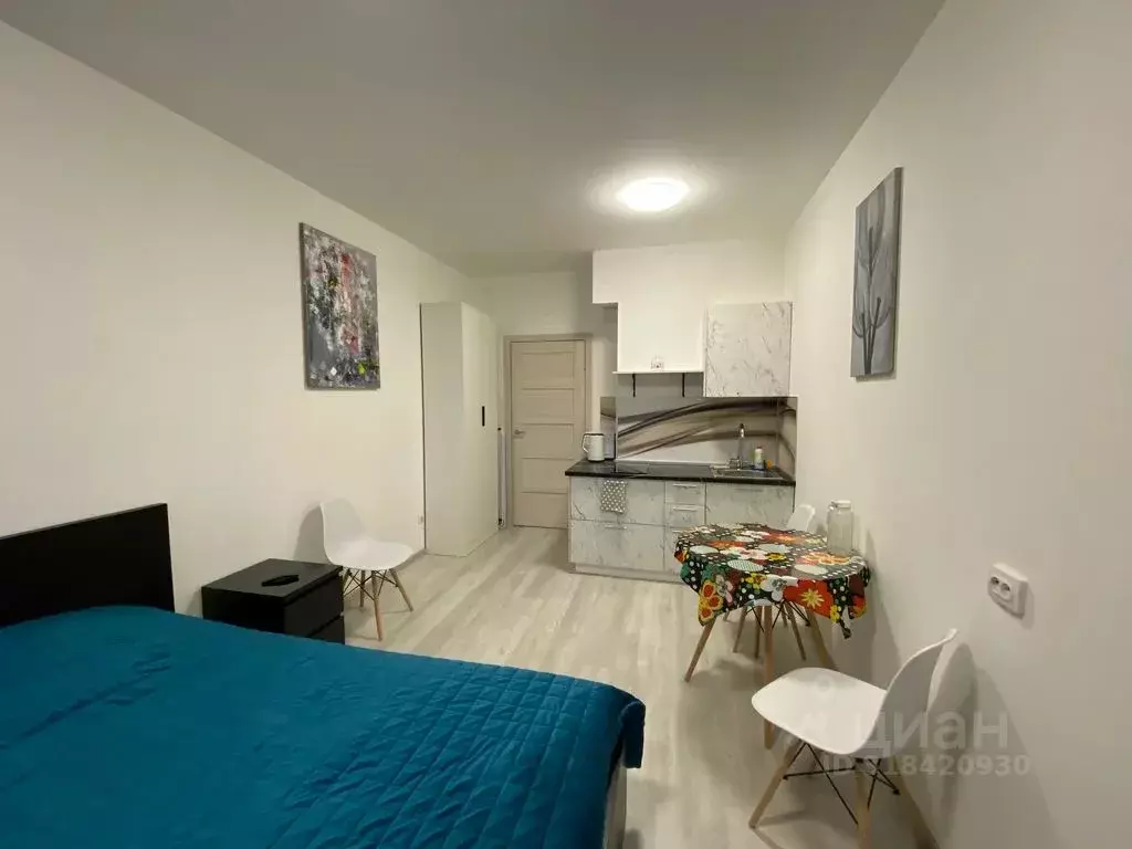 Студия Санкт-Петербург Светлановский просп., 8 (25.0 м) - Фото 2