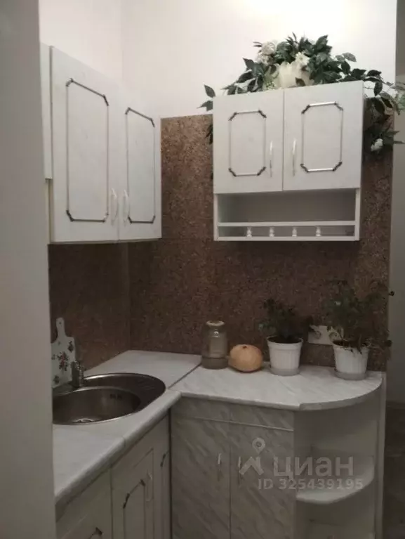 1-к кв. Алтайский край, Барнаул Путейская ул., 67 (24.0 м) - Фото 1