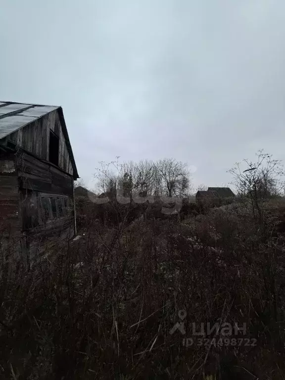 Участок в Брянская область, Брянский район, Снежское с/пос, с. ... - Фото 1