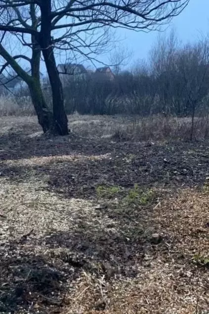 Участок в Калининградская область, Калининград ул. Александра Суворова ... - Фото 0