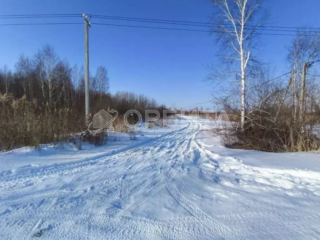 Участок в Тюменская область, Тюменский район, с. Борки ул. Шешукова ... - Фото 1