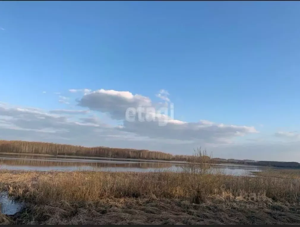 Участок в Тамбовская область, Рассказовский муниципальный округ, с. ... - Фото 1