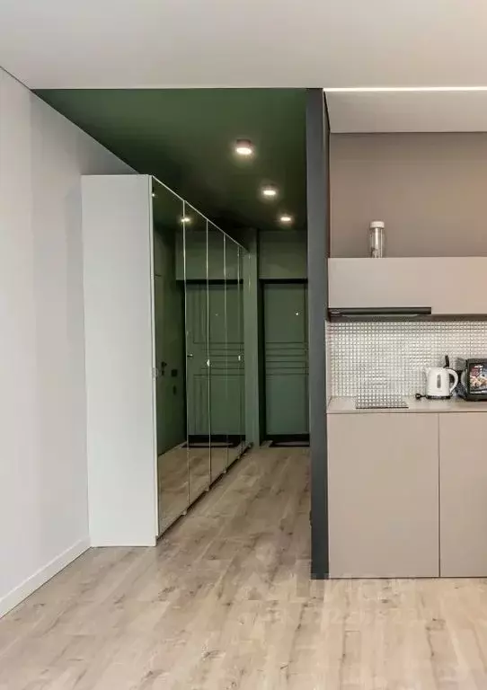 Студия Приморский край, Владивосток ул. Зеленый Бульвар, 19 (29.0 м) - Фото 2