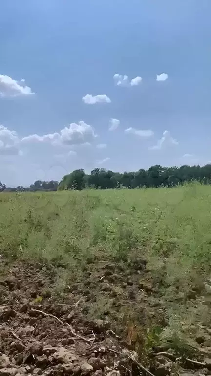 Участок в Краснодарский край, Апшеронский район, Кубанское с/пос, с. ... - Фото 1