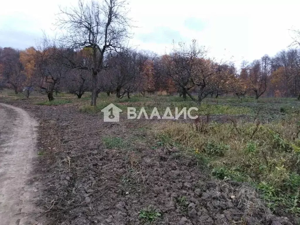 Участок в Санкт-Петербург пос. Шушары, Предприятия Шушары тер., 335 ... - Фото 2