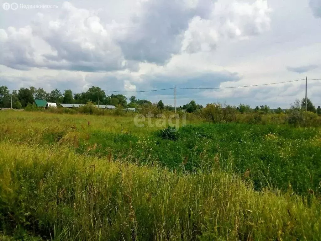 Участок в Курган, товарищество собственников недвижимости Благодатное ... - Фото 1