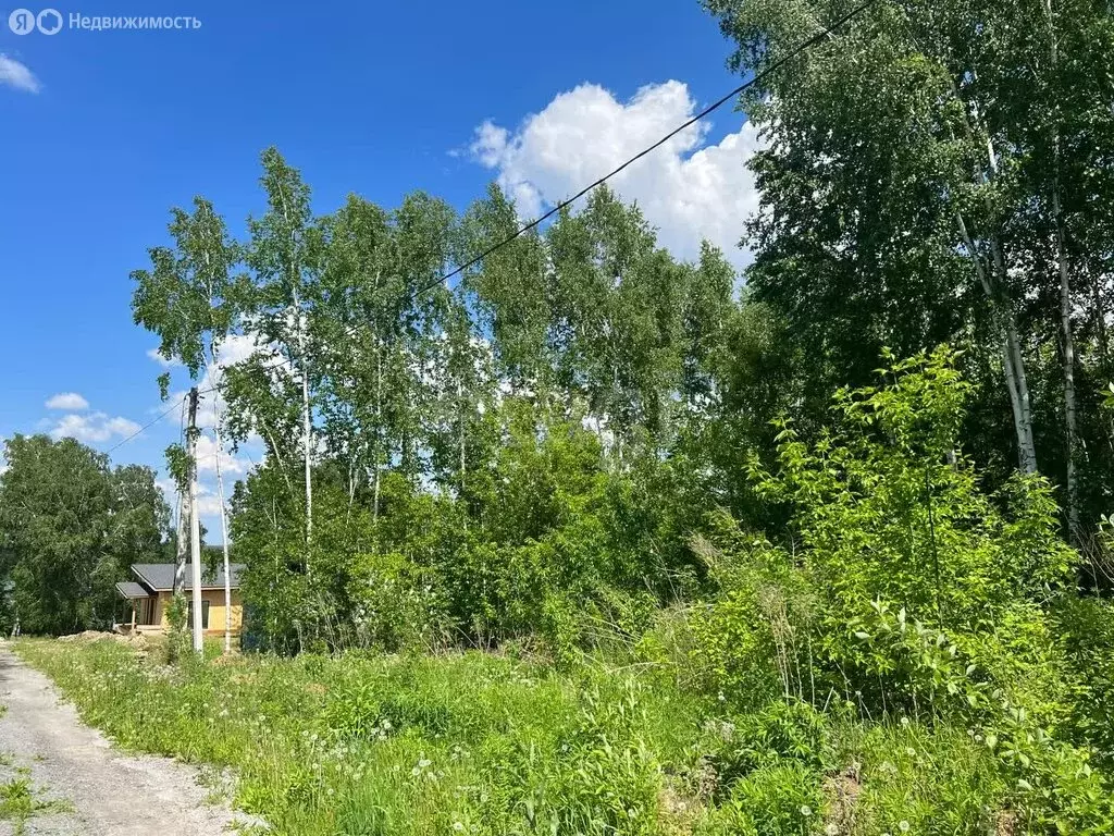 Участок в Искитимский район, Мичуринский сельсовет, дачное ... - Фото 1