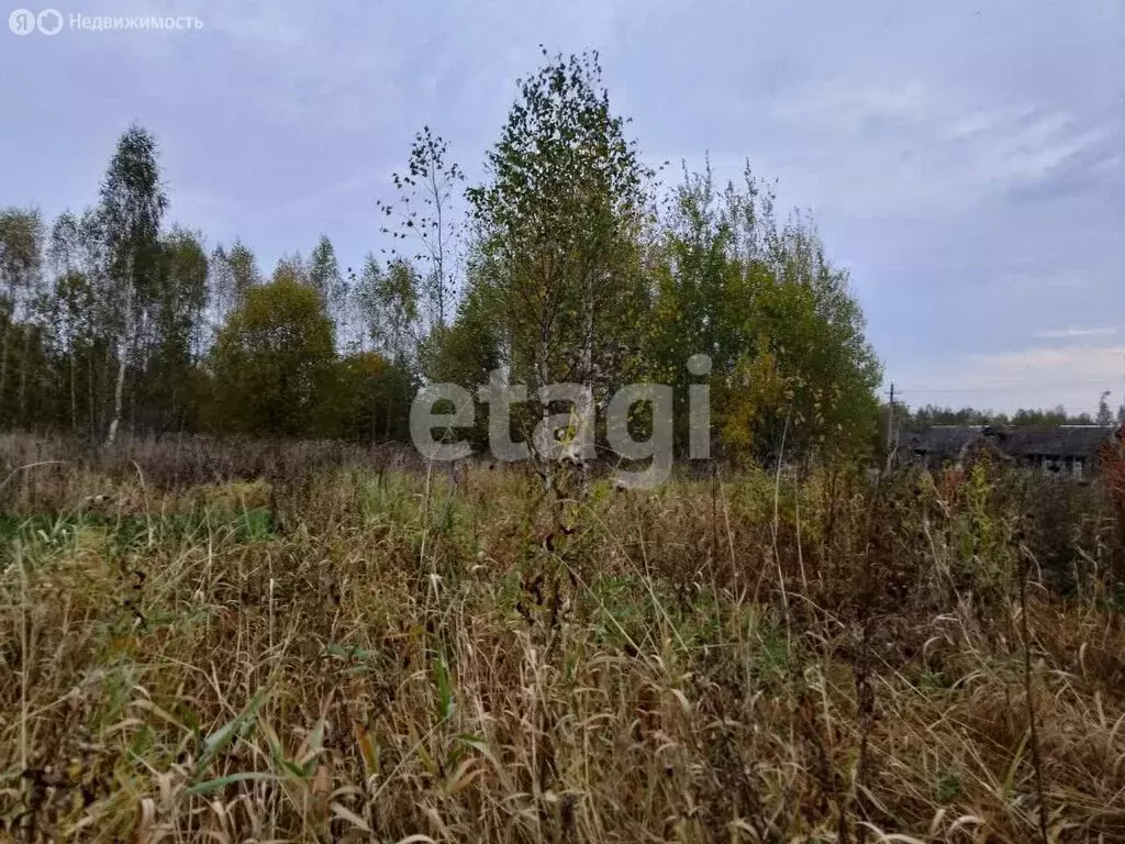 Участок в Костромская область, Макарьевский муниципальный округ, село ... - Фото 1