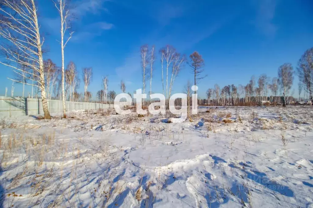 участок в красноярский край, емельяново городское поселение, синегорье . - Фото 0