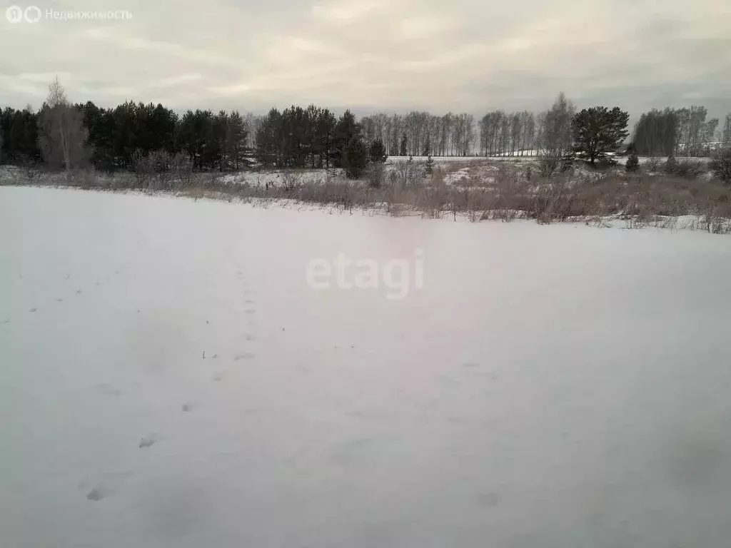 Участок в Нижегородская область, Дальнеконстантиновский муниципальный ... - Фото 1