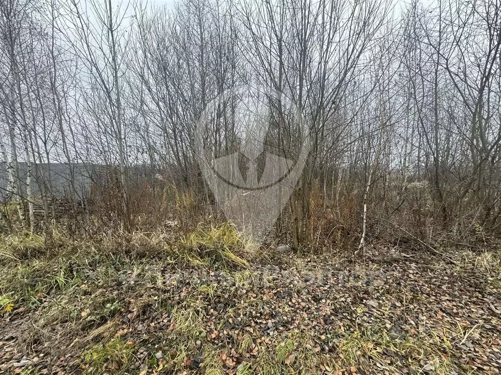 Участок в Рязанская область, Рязанский муниципальный округ, д. Рубцово ... - Фото 1