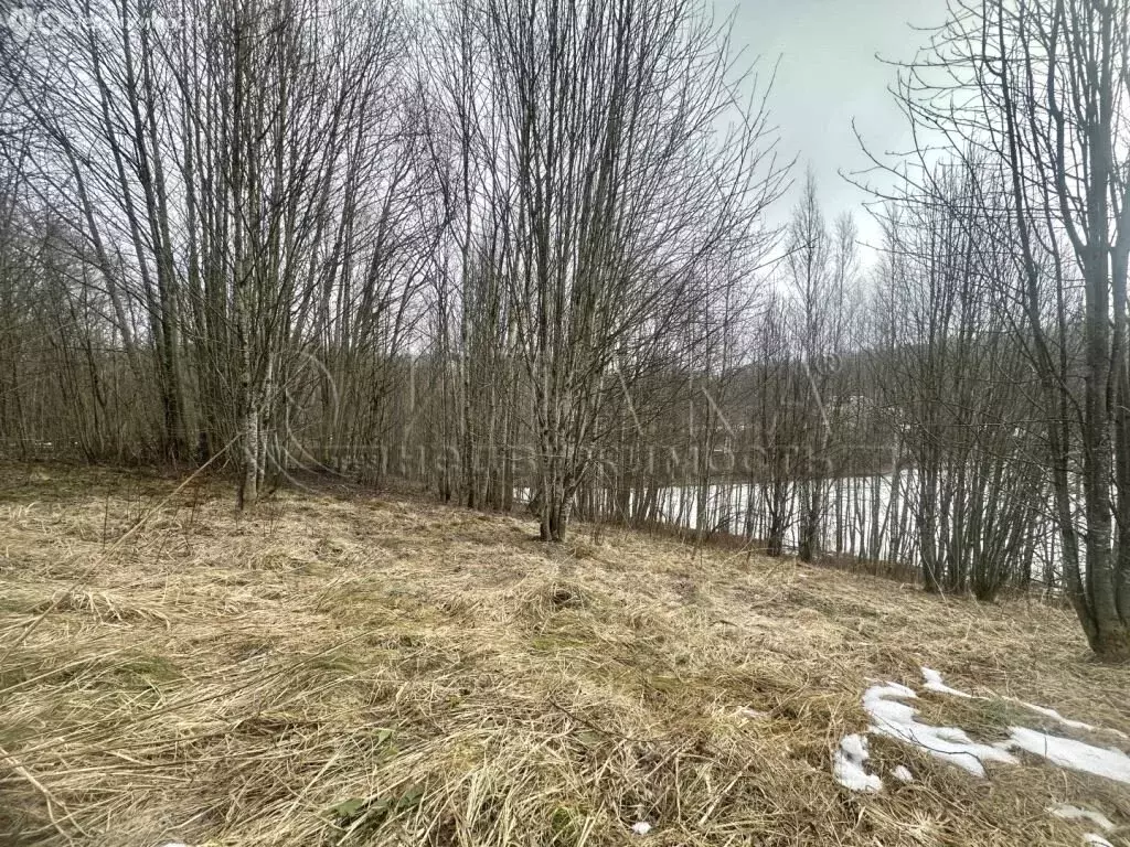 Участок в городской посёлок Токсово, Центральная улица (25 м) - Фото 1