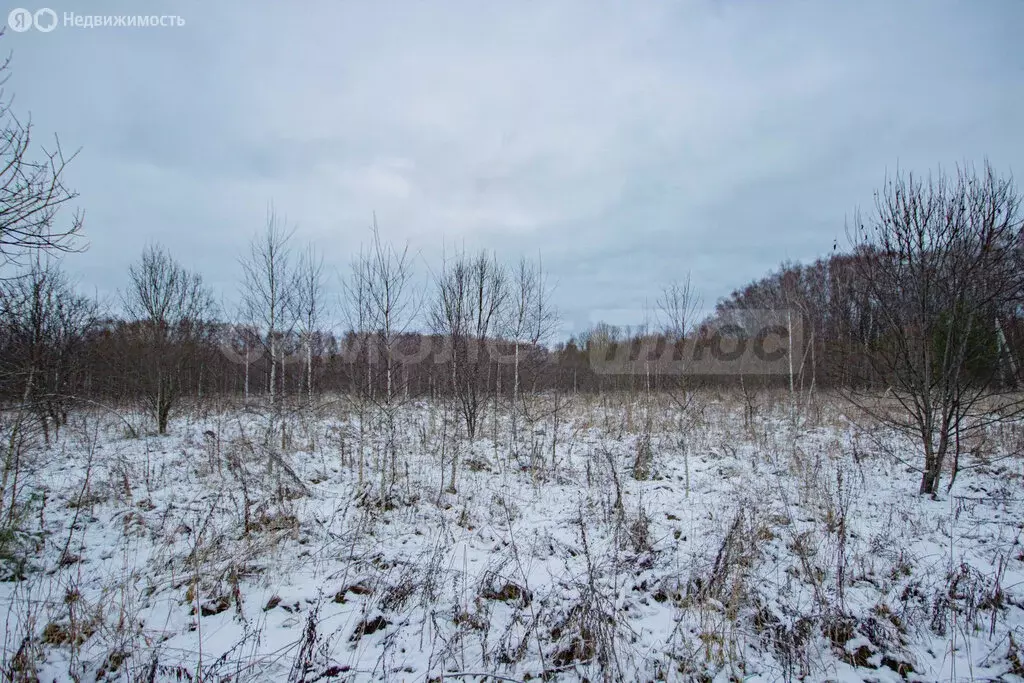 Участок в Калужская область, Жуковский муниципальный округ, село ... - Фото 1