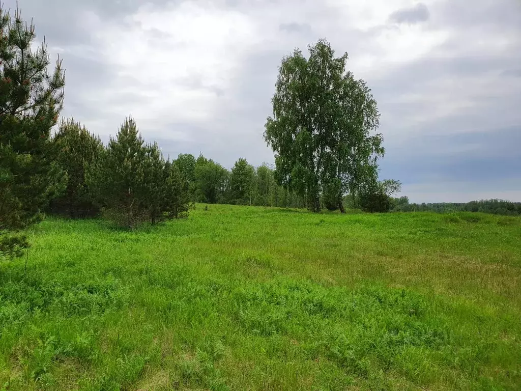 Участок в Тверская область, Конаковский муниципальный округ, д. ... - Фото 2