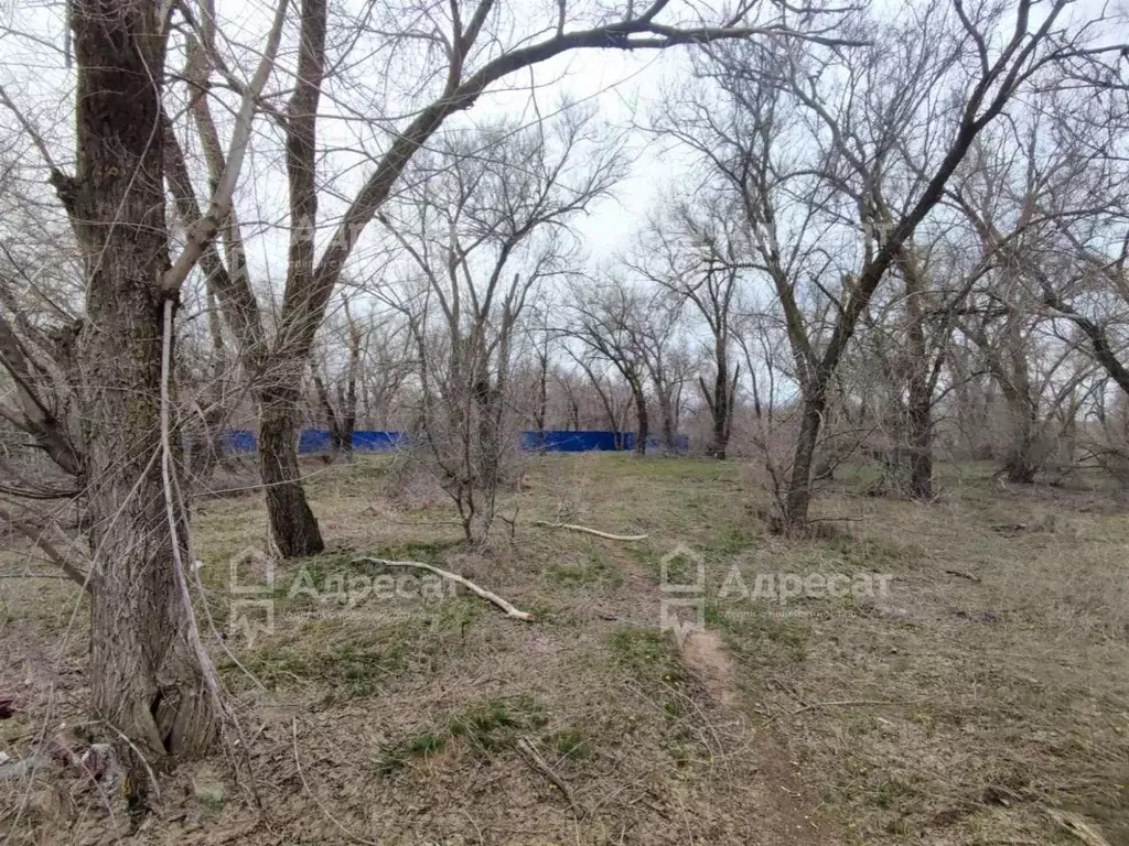 Участок в Волгоградская область, Волгоград Поселок 19 Партсъезда тер., ... - Фото 2