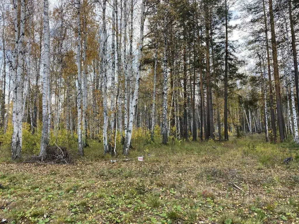 Участок в Свердловская область, Сысертский муниципальный округ, ... - Фото 1