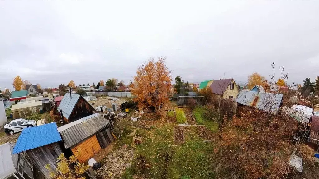 Участок в Тюменская область, Тюмень Строитель-3 СНТ, ул. Олимпийская, ... - Фото 1