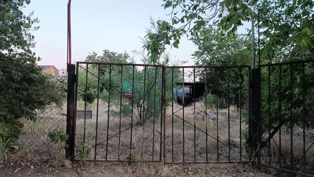 Участок в Ростовская область, Неклиновский район, с. Николаевка, ... - Фото 0