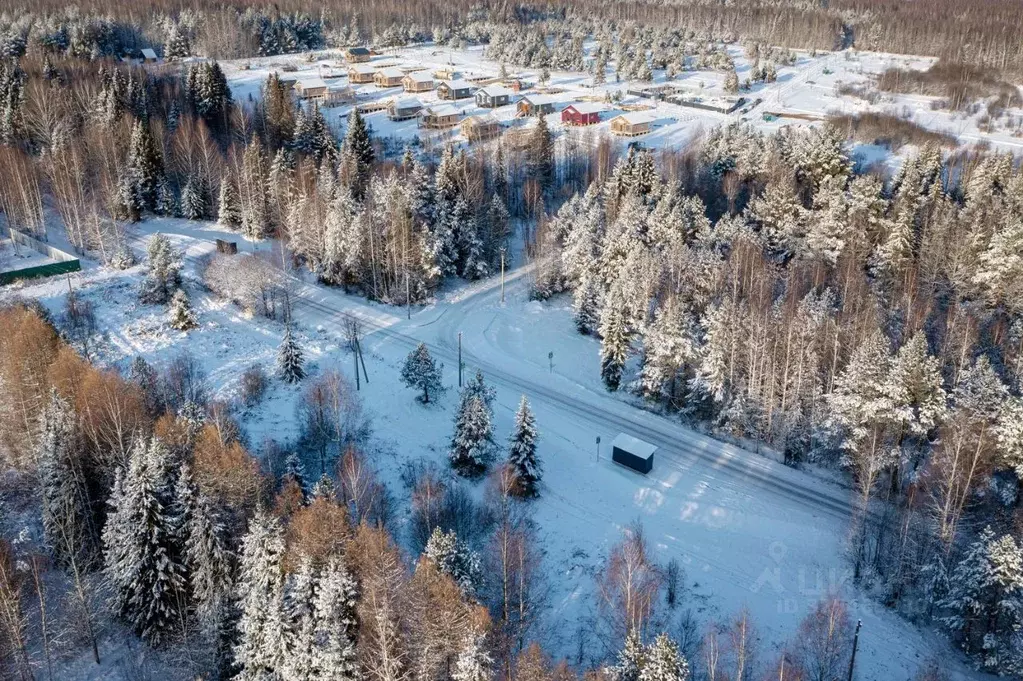 Участок в Удмуртия, Завьяловский район, Мирный починок ул. Вербная, 4 ... - Фото 2