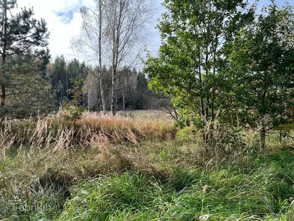 Участок в Ленинградская область, Кингисеппский район, Куземкинское ... - Фото 2