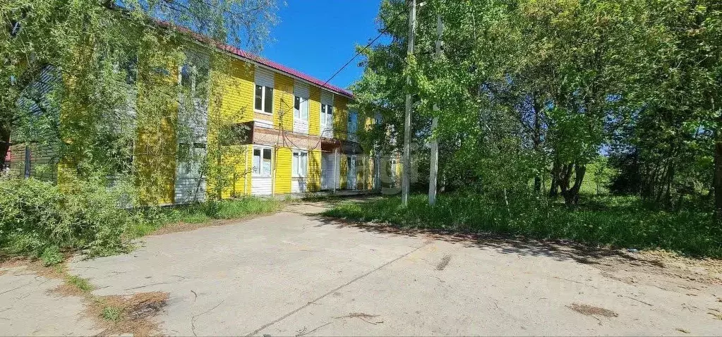 Участок в Калужская область, Совхоз Боровский с/пос, д. Кабицыно ул. ... - Фото 1