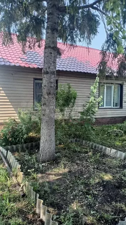 2-к. квартира, 42,4 м, 1/1 эт. - Фото 0