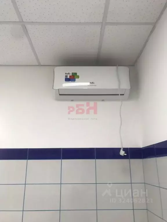 Офис в Курганская область, Курган ул. Пичугина, 9 (16 м) - Фото 2