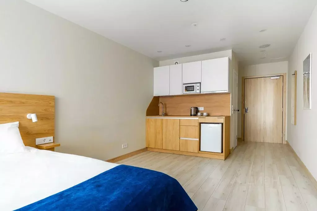 Студия Санкт-Петербург ул. Матроса Железняка, 2 (24.6 м) - Фото 2