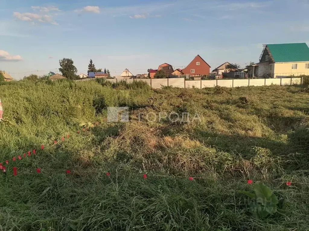 Участок в Новосибирская область, Новосибирский район, с. Криводановка ... - Фото 1