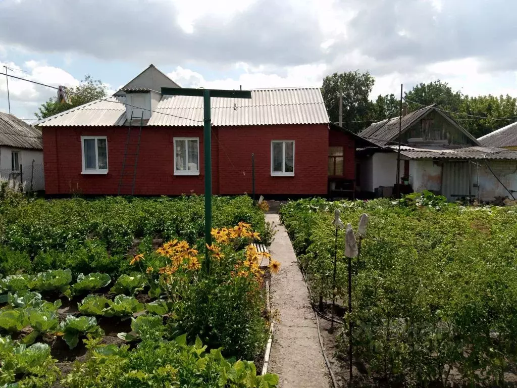 Дом в Белгородская область, Белгород пер. 1-й Северный (79 м) - Фото 0