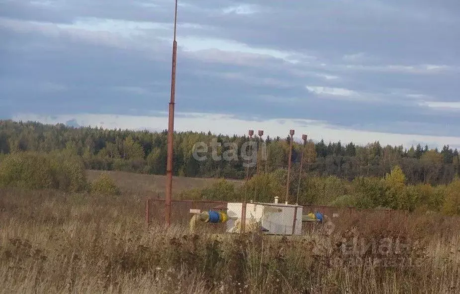 Участок в Костромская область, Красносельский район, Прискоковское ... - Фото 1