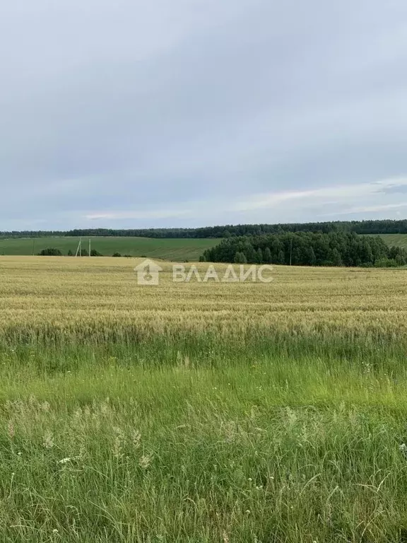 Участок в Нижегородская область, Нижний Новгород д. Кувардино, ул. ... - Фото 0