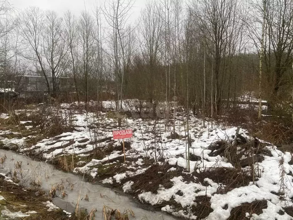 Участок в Ленинградская область, Ломоносовский район, Низинское с/пос, ... - Фото 1