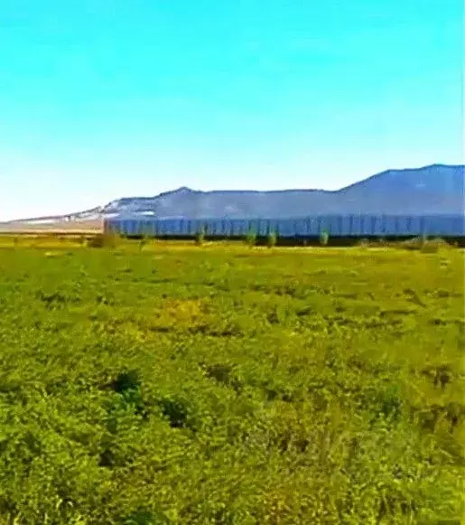 Участок в Крым, Кировский район, с. Приветное  (280.0 сот.) - Фото 1