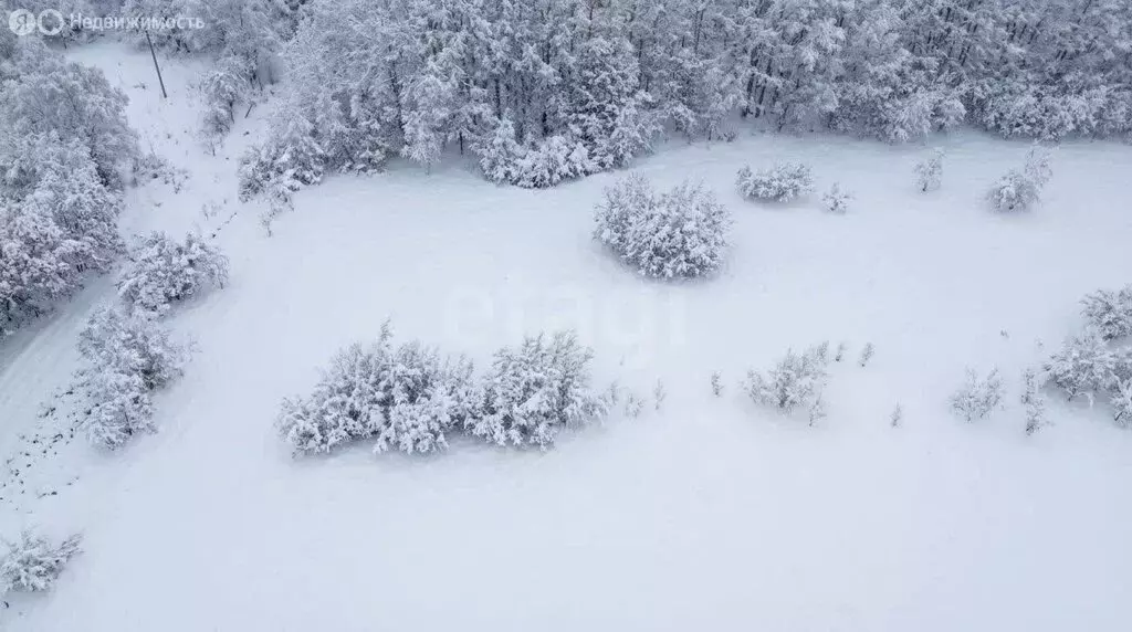 Участок в Камчатский край, Елизовский муниципальный округ, СНТ Рыбак ... - Фото 2