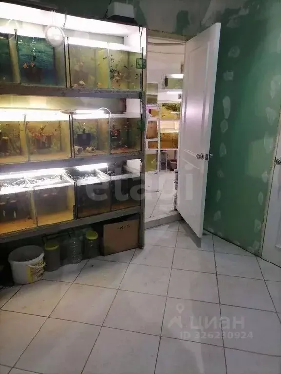 Офис в Тульская область, Тула ул. Михеева, 29 (48 м) - Фото 2