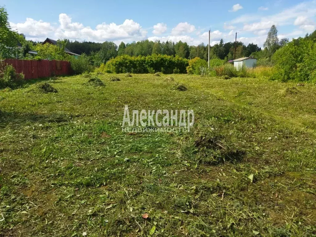 Участок в Ленинградская область, Киришский район, Пчевское с/пос, ... - Фото 1