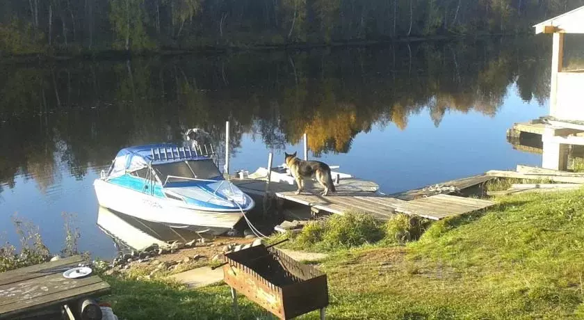 Дом в Карелия, Олонецкий район, Ильинское с/пос, д. Устье Тулоксы ул. ... - Фото 2
