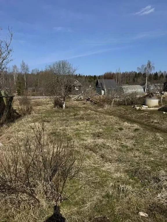 Участок в Ленинградская область, Сосновый Бор  (7.0 сот.) - Фото 1