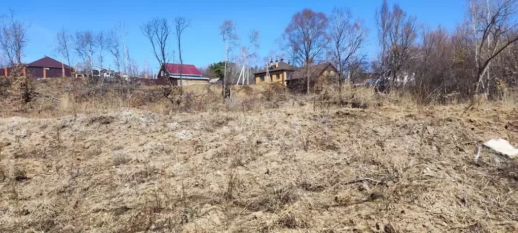 Участок в Амурская область, Благовещенский район, с. Чигири  (14.63 ... - Фото 1
