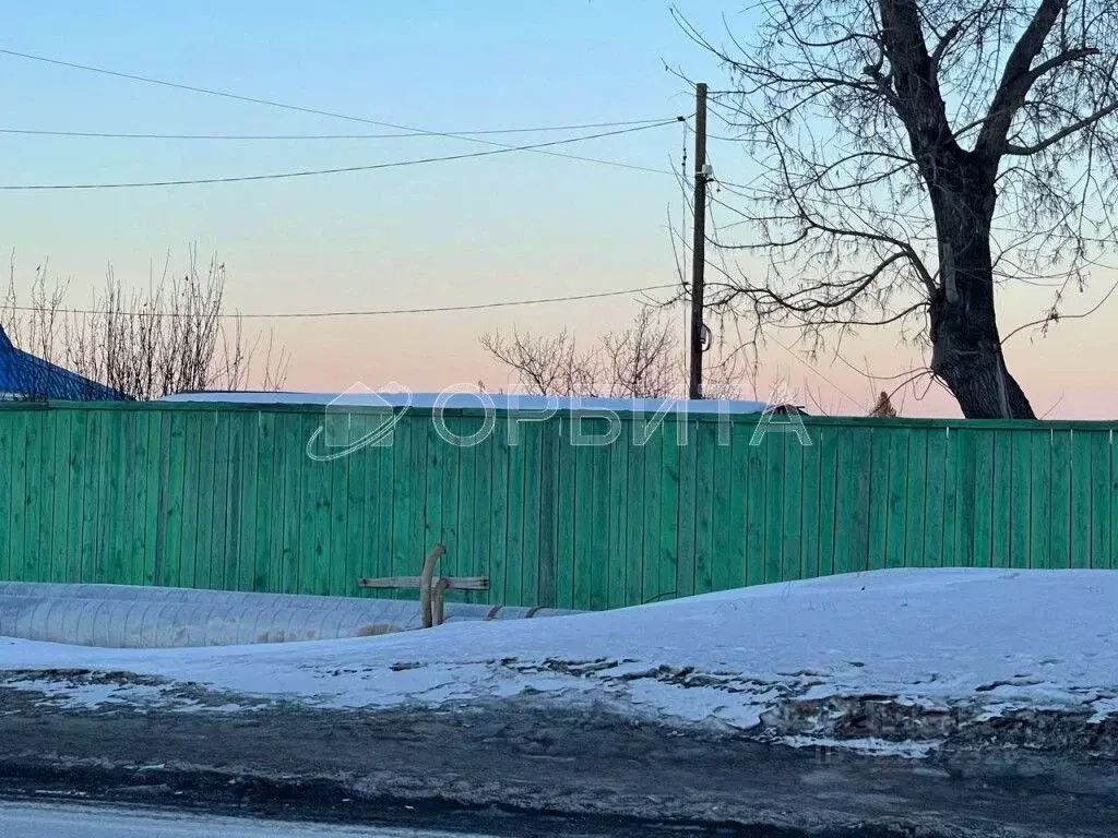 Участок в Тюменская область, Тюмень СОСН Мичуринец тер., 40 (5.0 сот.) - Фото 2