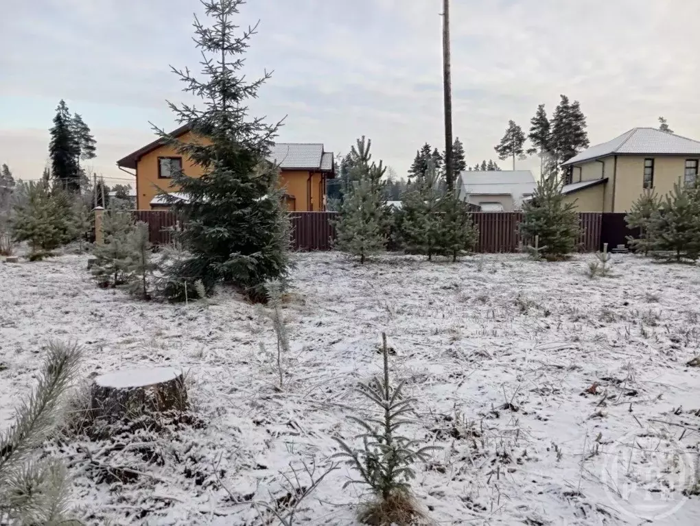 Участок в Ленинградская область, Всеволожский район, Агалатовское ... - Фото 2