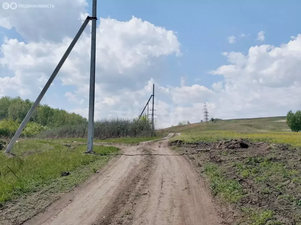 Участок в Красноярский край, Сосновоборский муниципальный округ, село ... - Фото 2