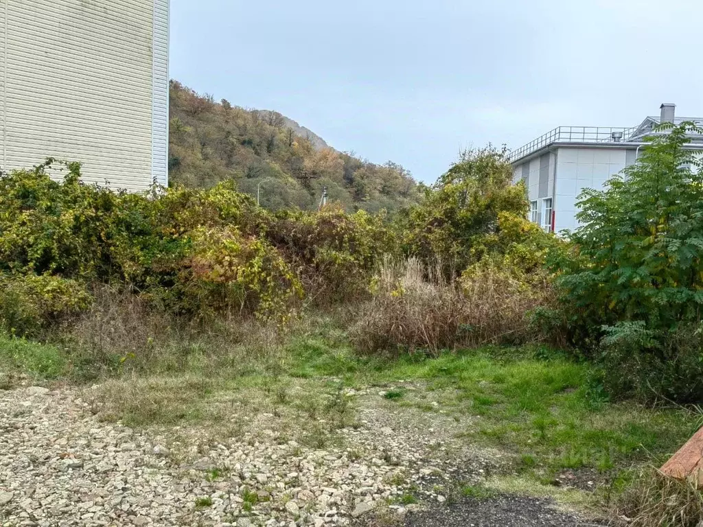 Участок в Краснодарский край, Туапсинский муниципальный округ, с. ... - Фото 2