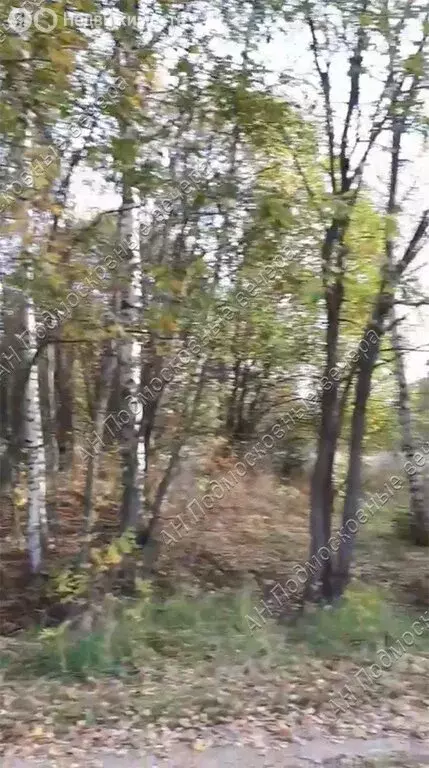 Участок в Московская область, Волоколамский муниципальный округ, ... - Фото 1