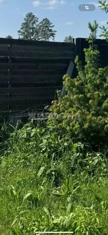 Участок в Новосибирская область, Новосибирский район, Барышевский ... - Фото 2