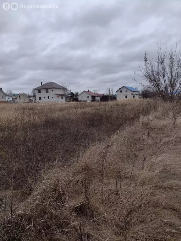 Участок в Новоусманский район, село Орлово (11 м) - Фото 1