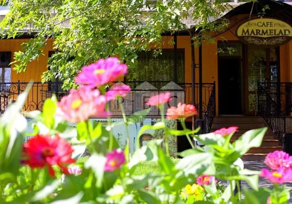 Торговая площадь в Саратовская область, Энгельс ул. Тельмана, 10 (55 ... - Фото 1